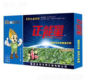 ������ľ�����������L(zh��ng)��