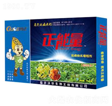 �𻨌��ÿ������L(zh��ng)���ք�