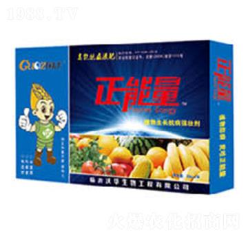 �V�V��ֲ�����L(zh��ng)������(qi��ng)��