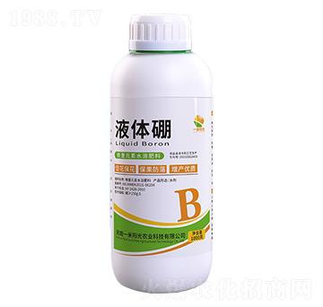 Һ�w��-һ��ꖹ�