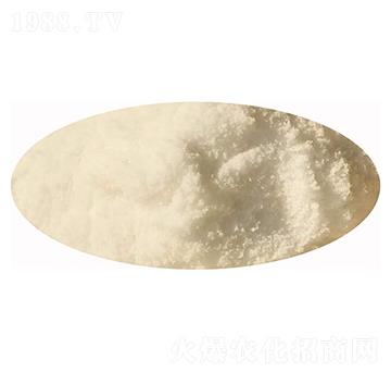 ��������-�l(f��)ؔ(c��i)��