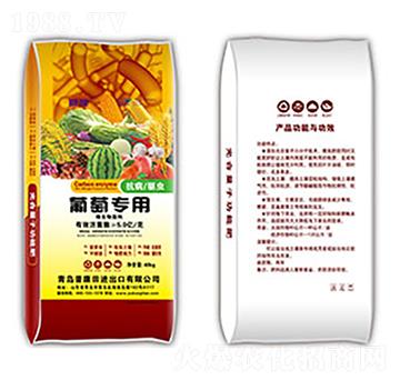 ���ь�(zhu��n)�þ���-�տ���