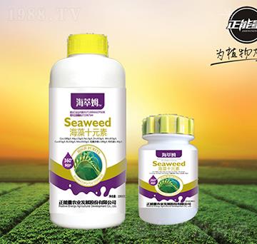 ����ʮԪ��-����ķ-��