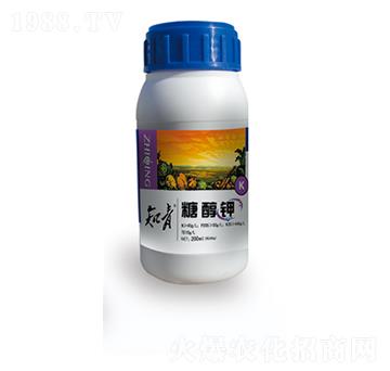 �Ǵ��-֪��-������