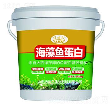 �����~����-�ֵϾ�