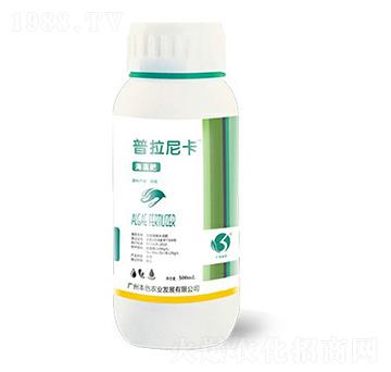 �����Ῠ�����-��ɫ�r(n��ng)�I(y��)