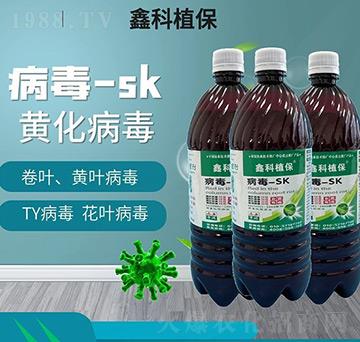 ����-SK-�ο�ֲ��