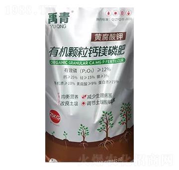 �ЙC(j��)�w���}�V�׷�-��������