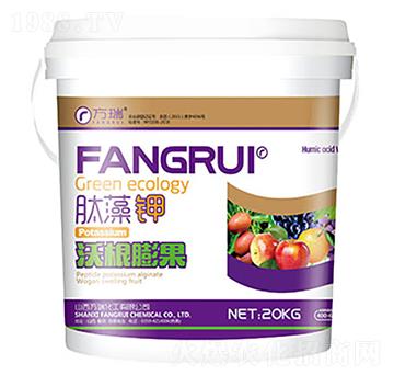 �ָ����-�����-����