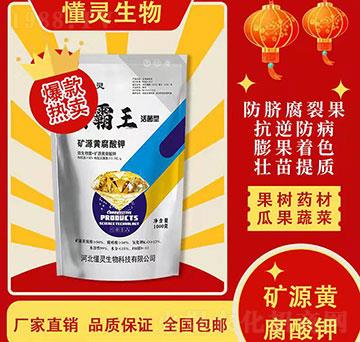 �VԴ�S�����-���`����