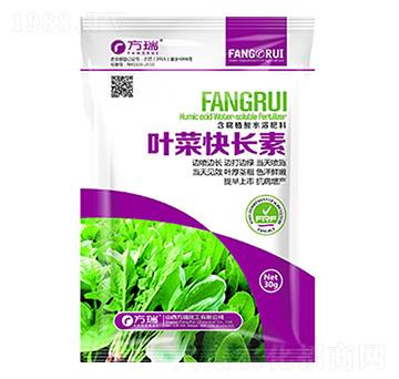 �~�˿��L(zh��ng)��-����