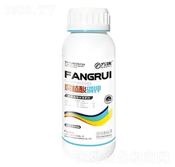 ��ֲ�����-����