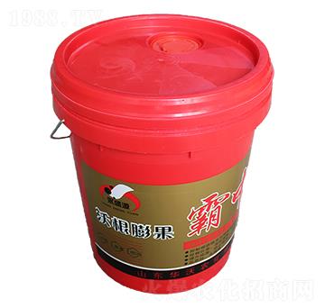 �ָ�������а�-�A���r(n��ng)��