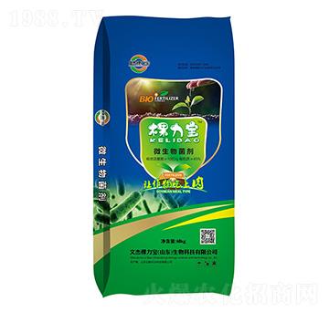 ΢�������-������-�Ľܿ�����