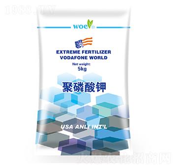 �������-�֠�