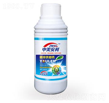 ���\�F�f�}-�֠�