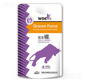 ��(y��u)��(l��)��-�֠�