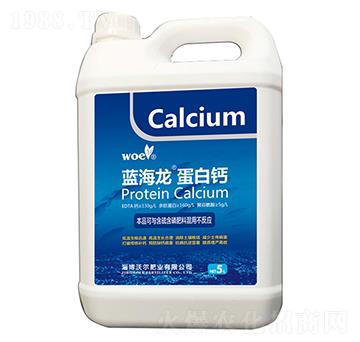 �{���������}-�֠�