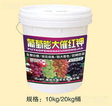 �������߼t�-�fȪ�r(n��ng)��