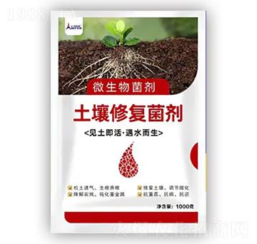 �����ޏ�(f��)����-������