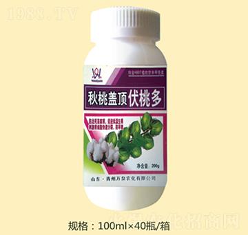 �����w픷��Ҷ�-�f(w��n)Ȫ�r(n��ng)��