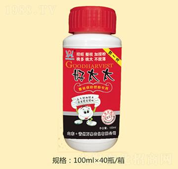 ��̫̫-�fȪ�r��