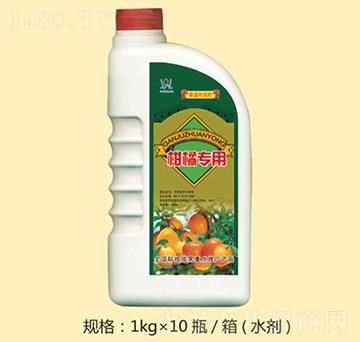 ���ٌ���-�fȪ�r��