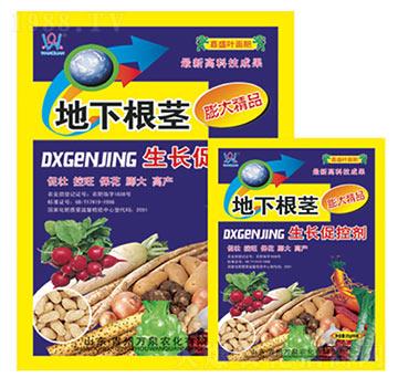 ���¸��o���L(zh��ng)�ٿ؄�-�fȪ�r(n��ng)��