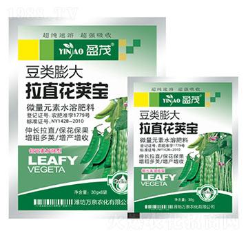 ��������ֱ���v��-�fȪ�r(n��ng)��