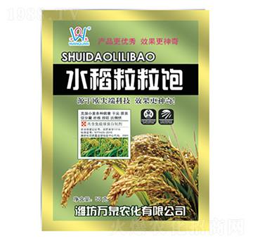 50g水稻粒粒飽-萬泉農(nóng)化