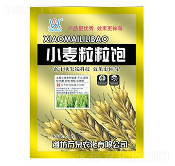 С�������-�f(w��n)Ȫ�r(n��ng)��