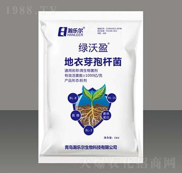 ����ѿ�ߗU��-�G��ӯ-