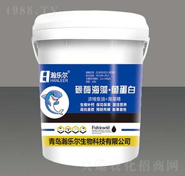 ̼ø���塤�~����-嫘�