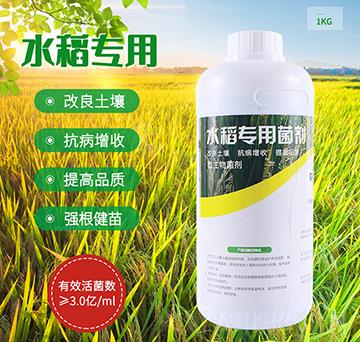 ˮ����(zhu��n)�þ���-��(r��n)��