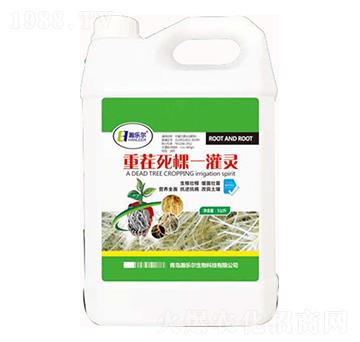 �ز�����һ���`-嫘���