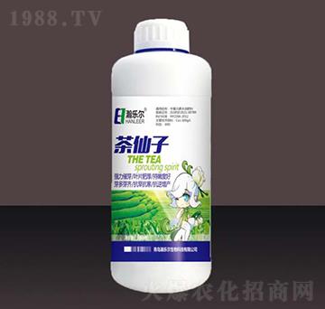 �~���-������-嫘���