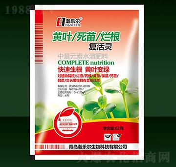 �S�~���砀���ͻ��`-�