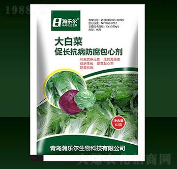 ��ײ˴��L������������