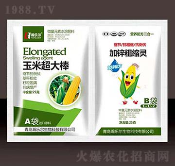 ���׳����+���\�ֿs�`