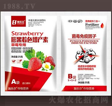 ��ݮ���������ɫ���a��+������������-嫘���