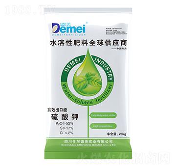 ����⛣�SOP��-����