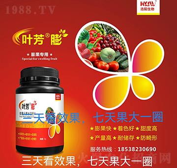 �����(zhu��n)��-�~����-���(y��ng)����