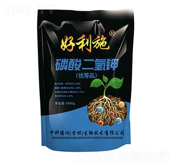 ��������-���ʘI(y��)