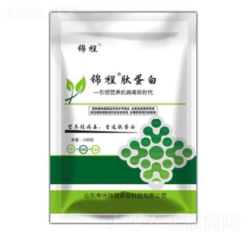 �ĵ���-�\���r�I(y��)