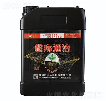 ����ͨ��-�W������