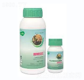 �����m�t-��������