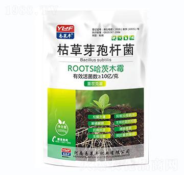 �ݲ�ѿ�ߗU��-���R�S