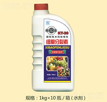 ���徫Ʒ��(x��)��������-�fȪ�r(n��ng)��