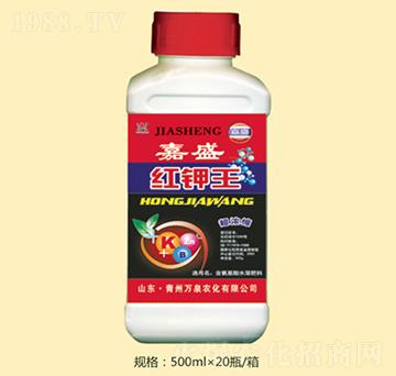 �˼�ʢ�t���-�f(w��n)Ȫ�r(n��ng)��