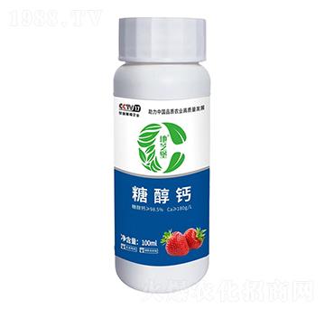 �Ǵ��}-��֥��-������